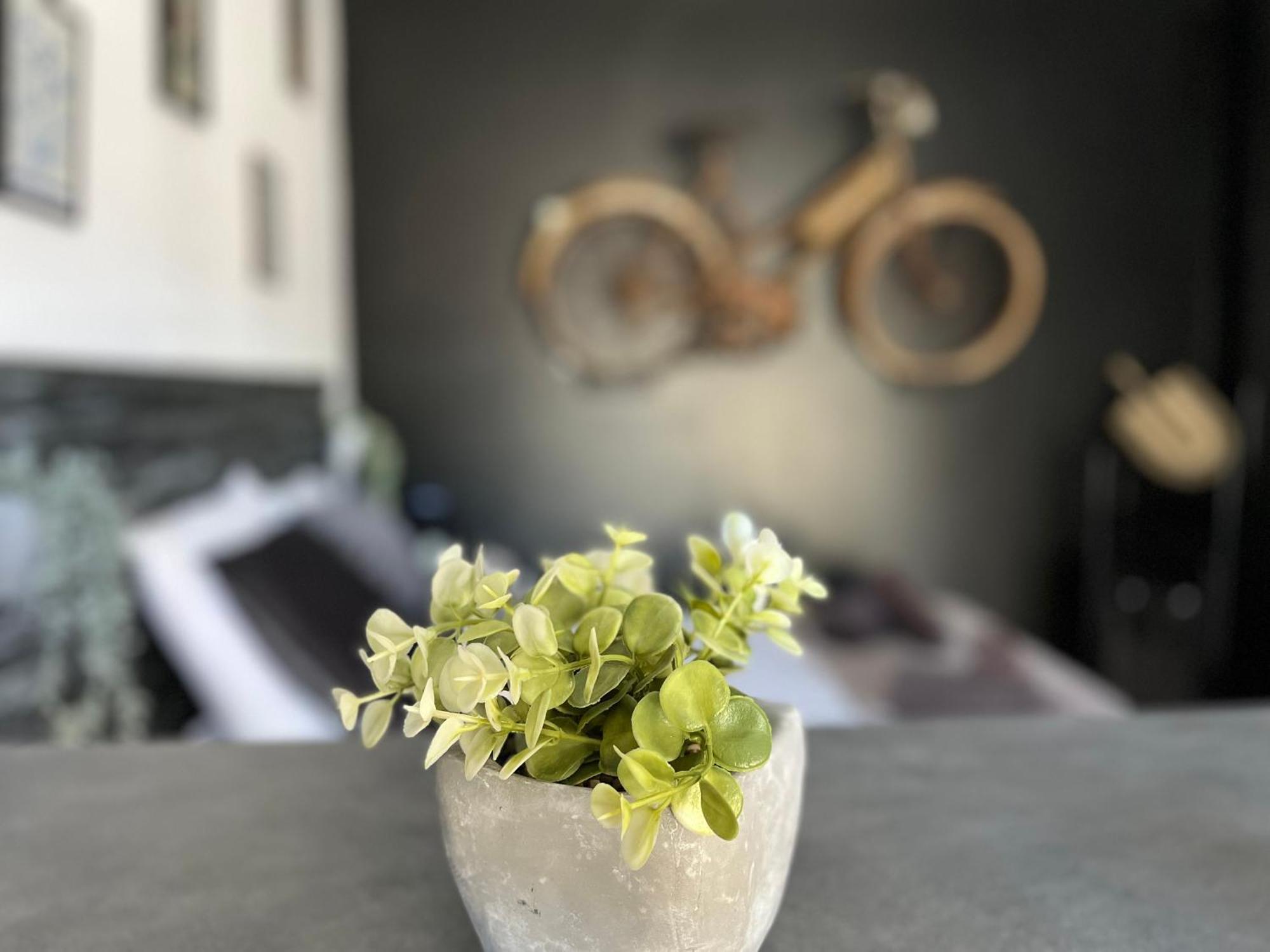 "Le Maloya" Chalets Independants -Chambre Balneo - Relais Motards 拉科讷 外观 照片